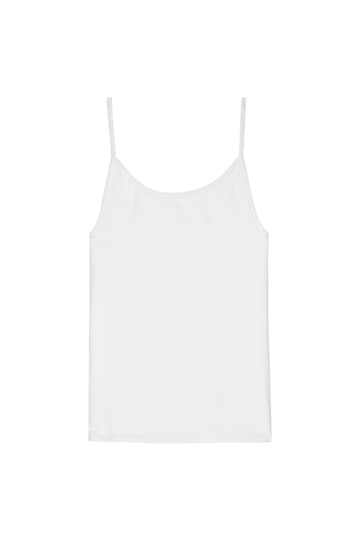 The Baby Rib Scallop Tank