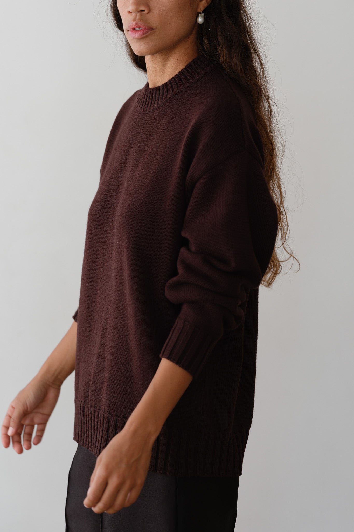 The Cotton Cashmere Crewneck Sweater