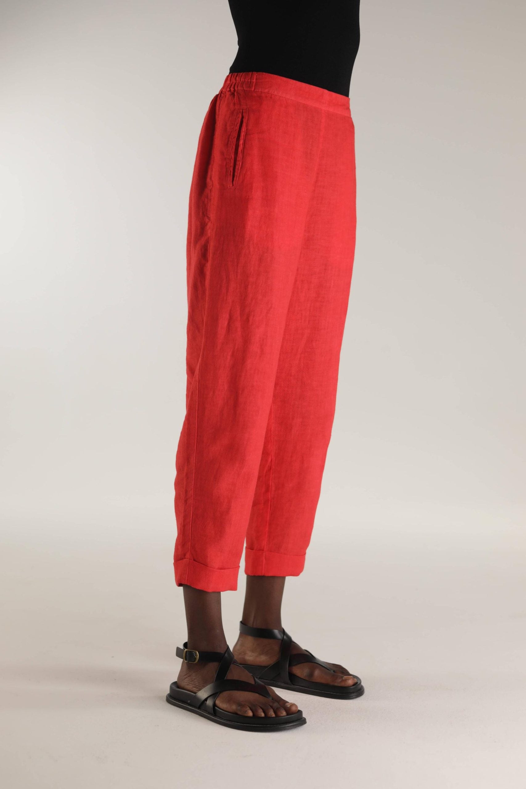 ELEMENTE CLEMENTE Slim Linen Pant in Black